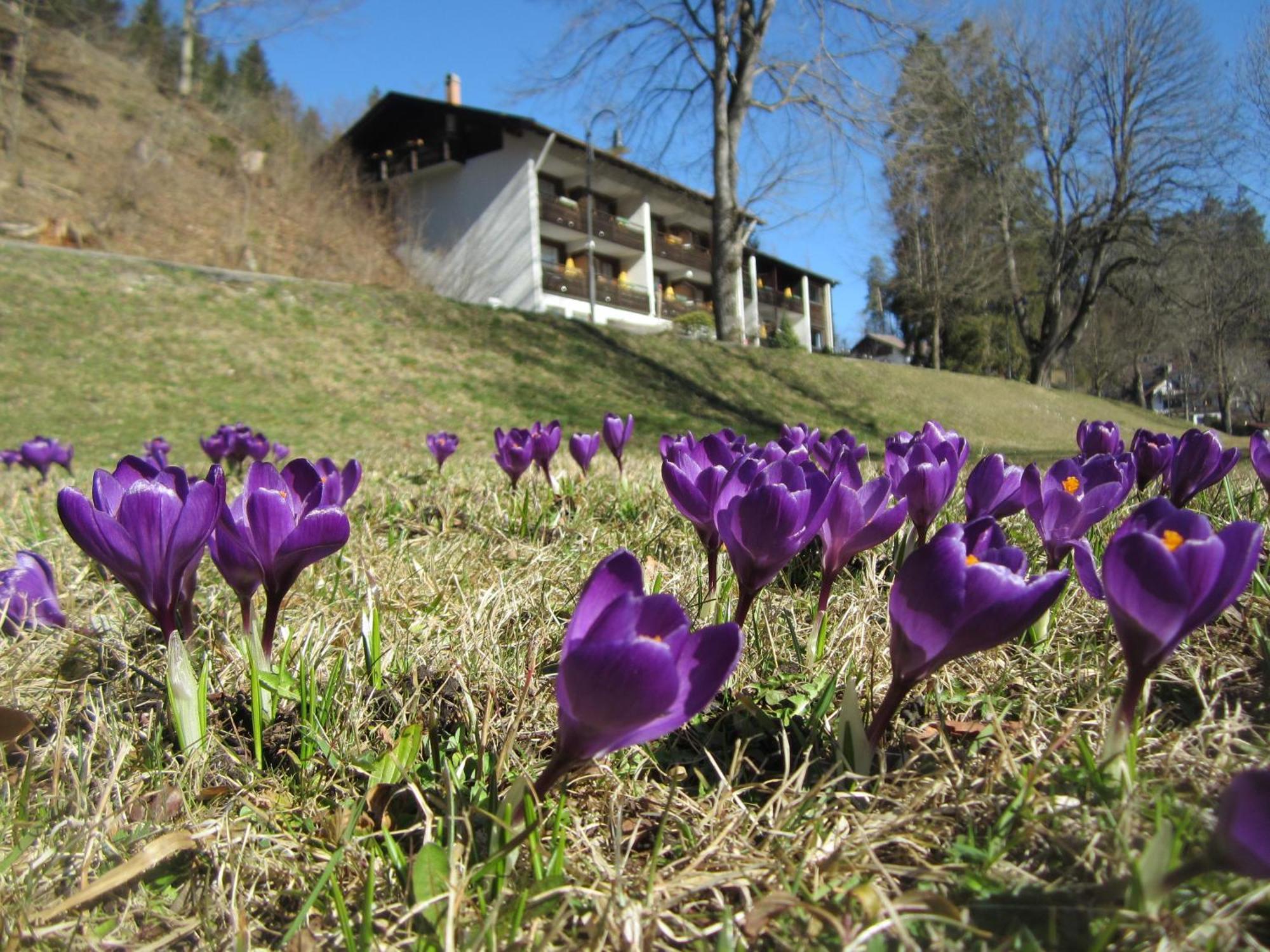 Hotel Ruchti - Zeit Fuer Mich Füssen Kültér fotó